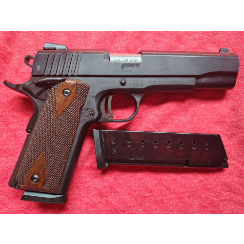 Tanfoglio Witness.45
