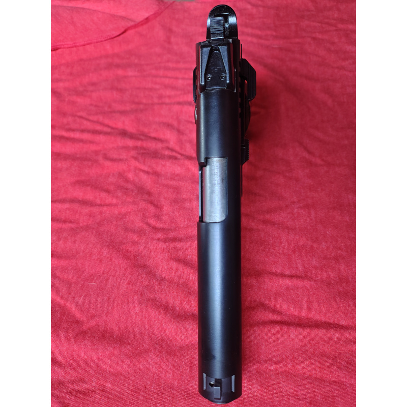 Tanfoglio Witness.45