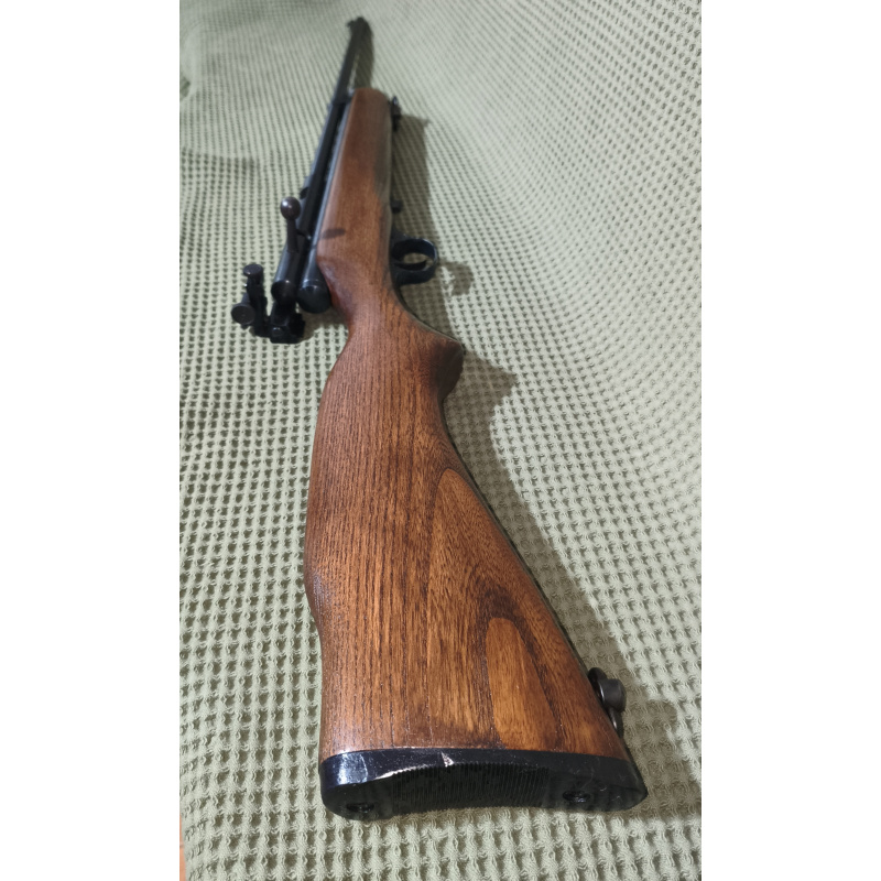 Crosman Modelo 167