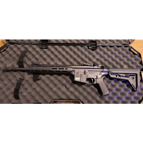 Carabina Smith & Wesson M&p15-22 Sport Moe Sl - .22 Lr