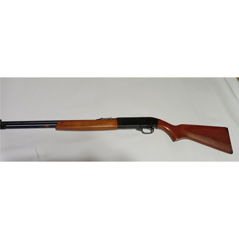 Winchester 190 22lr