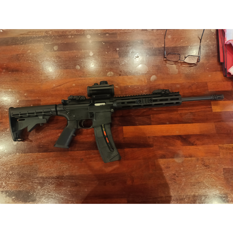 Carabina Smith Wesson M&p 22