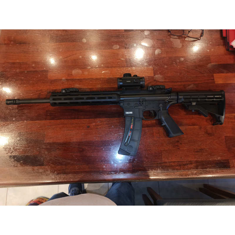 Carabina Smith Wesson M&p 22