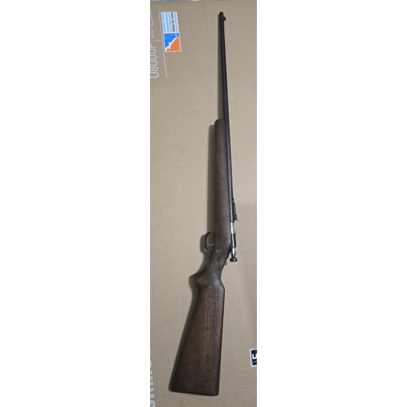 Carabina Winchester Cal 22