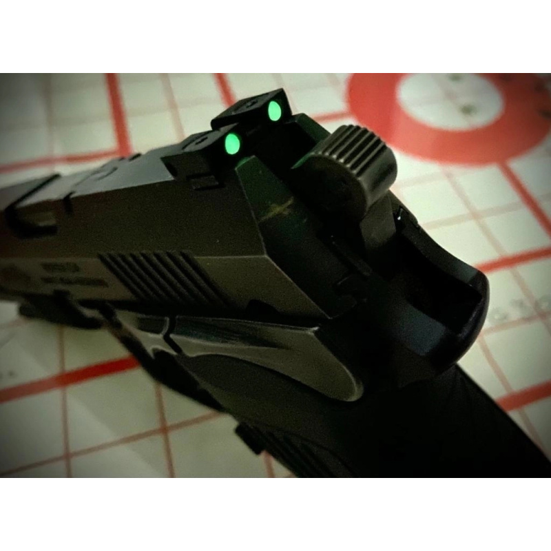 Alza Fotoluminiscente Cat Para Pistolas Bersa Bpcc