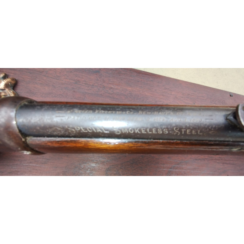 Carabina Marlin Model 1893 Cal 38-55