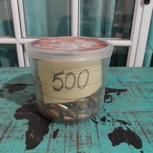 Vainas 9mmx500 Unidades