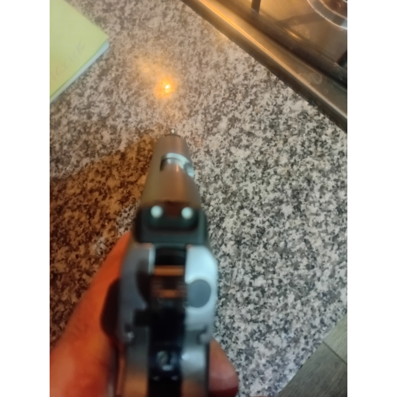 Ruger Sr1911 9 Mm