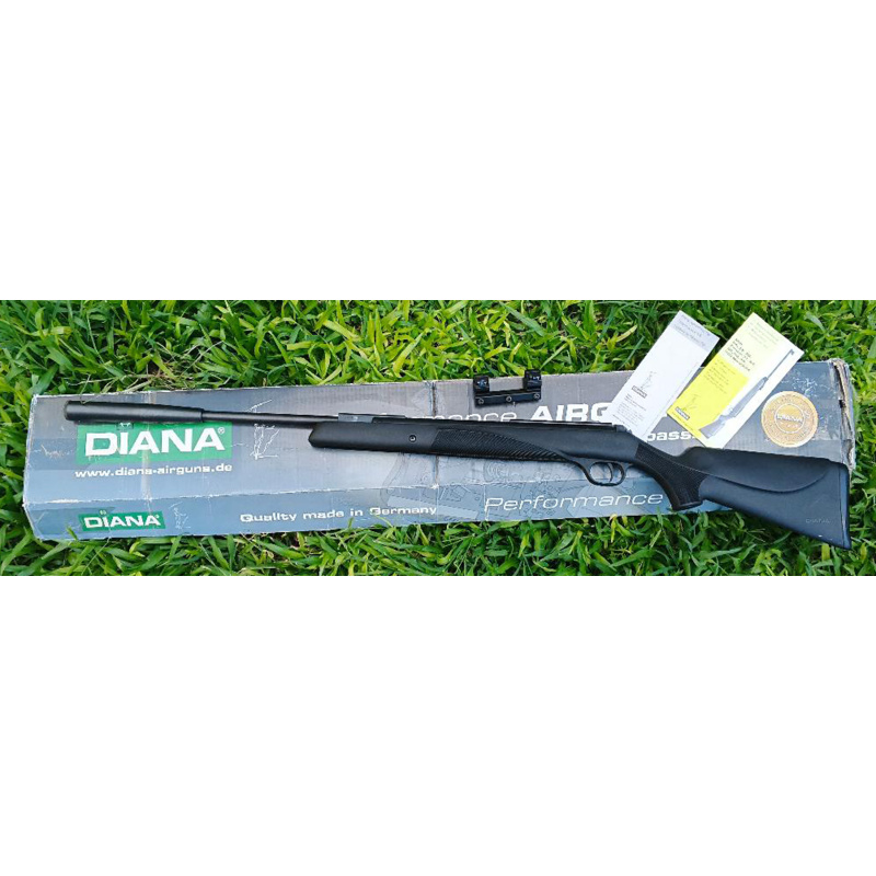 Diana Panther 31 5,5 Mm