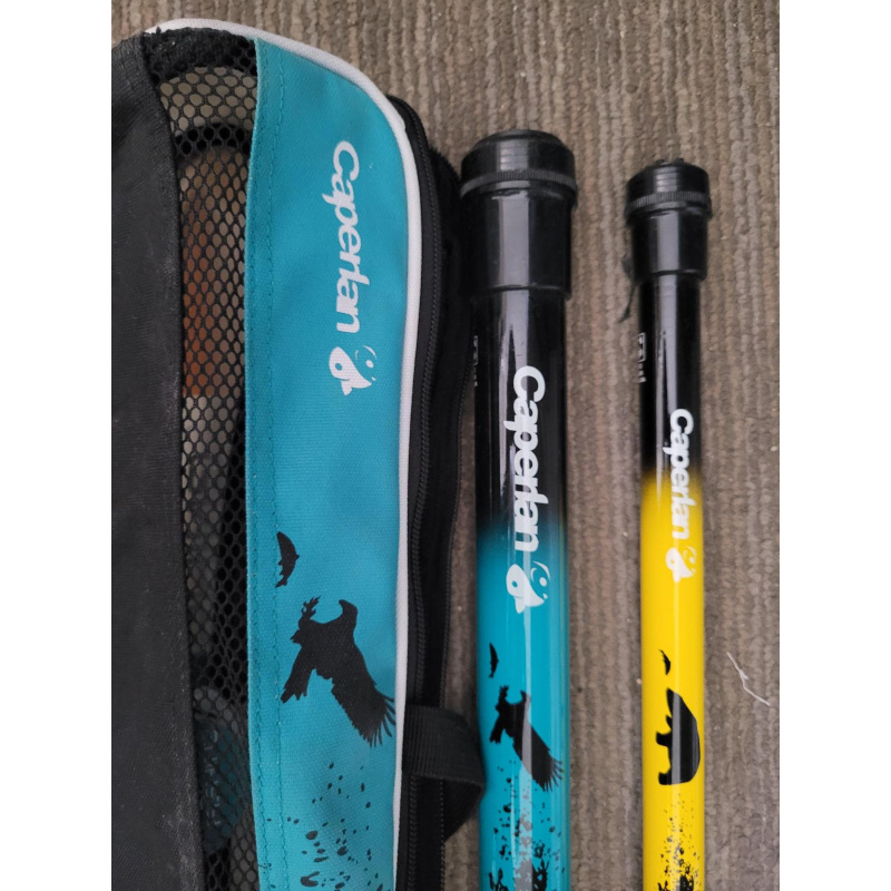 2 Cañas Telescopicas Con Puntera Ideal Pesca Muelle !!