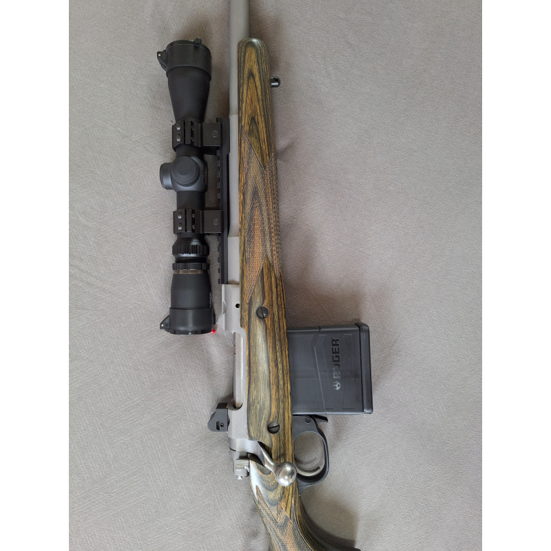 Ruger Gunsite Scout .308 Winchester