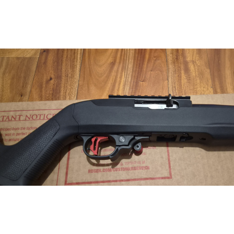 Ruger 10/22 Magpul X22 Hunter / Thandemkross