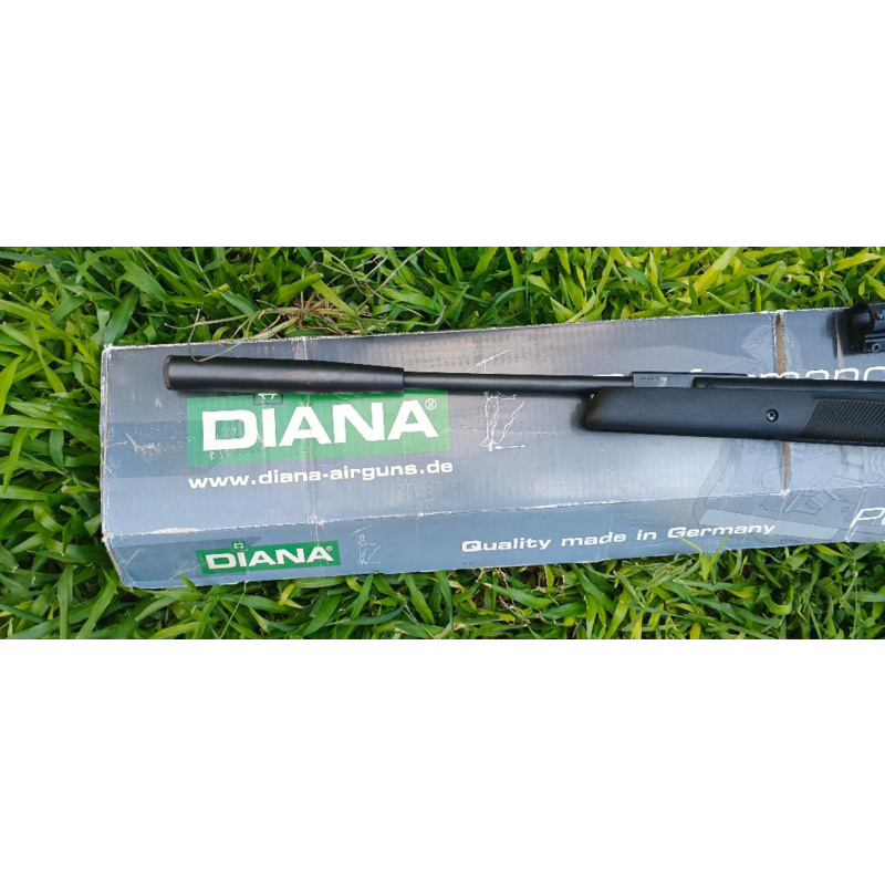 Diana Panther 31 5,5 Mm