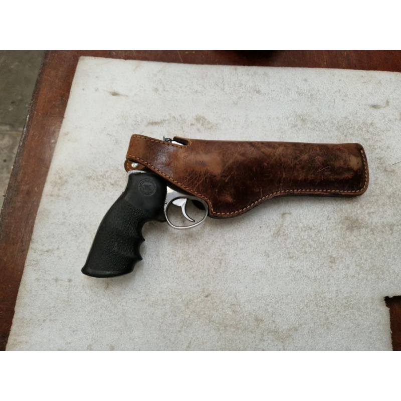 Taurus .44 Magnun Inox 6,5" Con Cuim