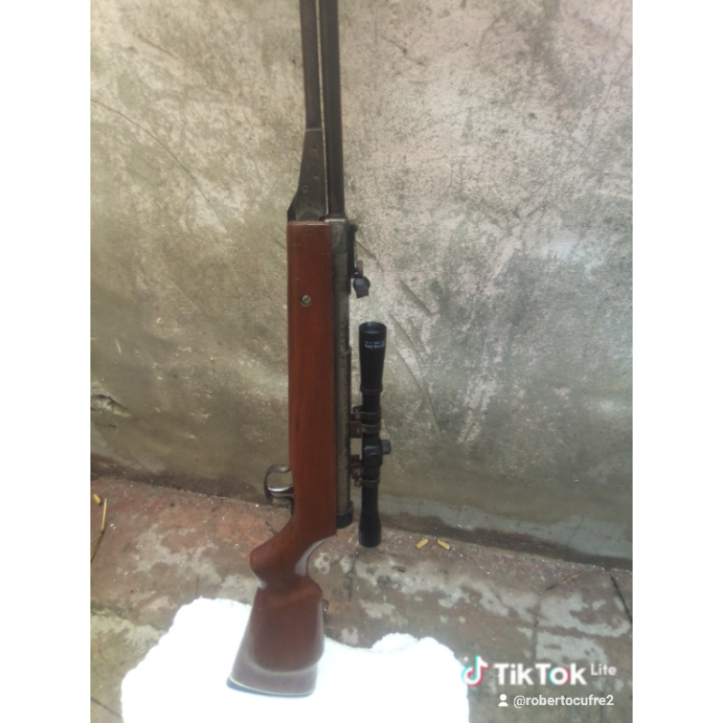 Vendo Rifle Aire Comprimido Lee Palanquero 5,5 C Mira