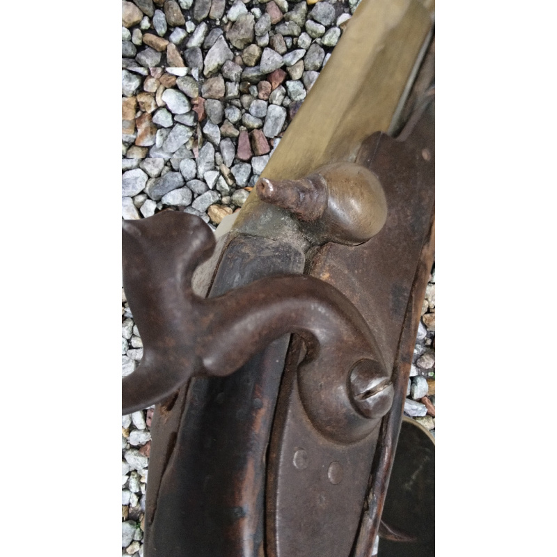 Naranjero Funcionando