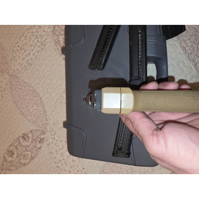 Sig Sauer P322 Arena