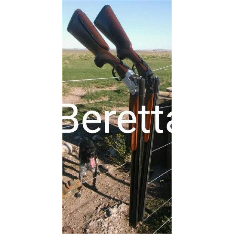 Beretta Collection 95