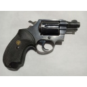 Colt Detective Special