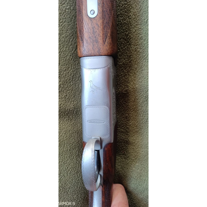 Winchester Pigeon Grade 12