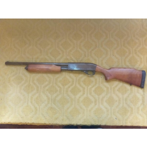 Remington Magnum Express