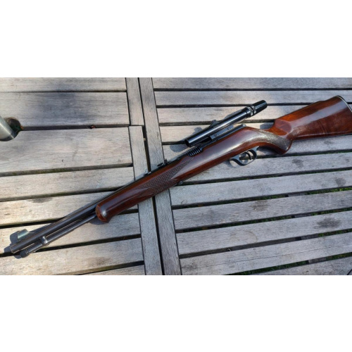 Carabina Saurio .22 Plg Lr Semiauto Mira Bushnell Custom 3-7x25