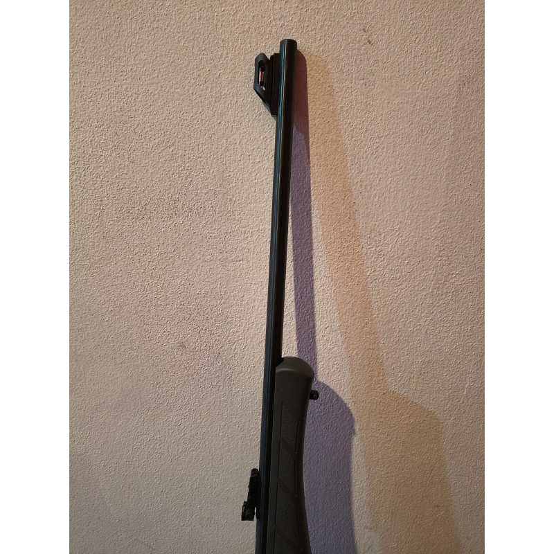 Carabina Rossi 7022