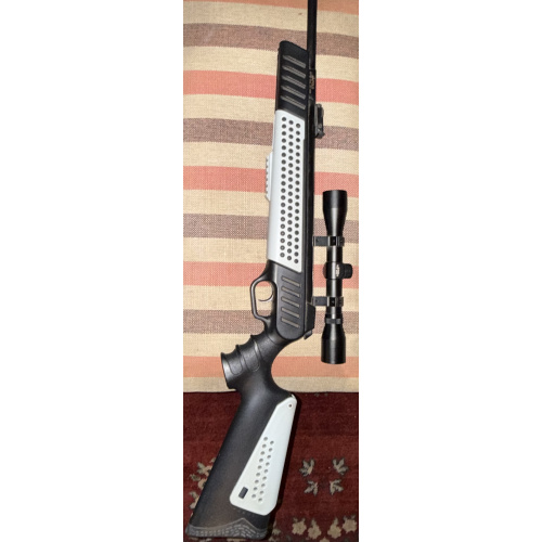 Rifle De Aire Comprimido Apolo Ap1966 5,5mm + Mira Fox 4x32