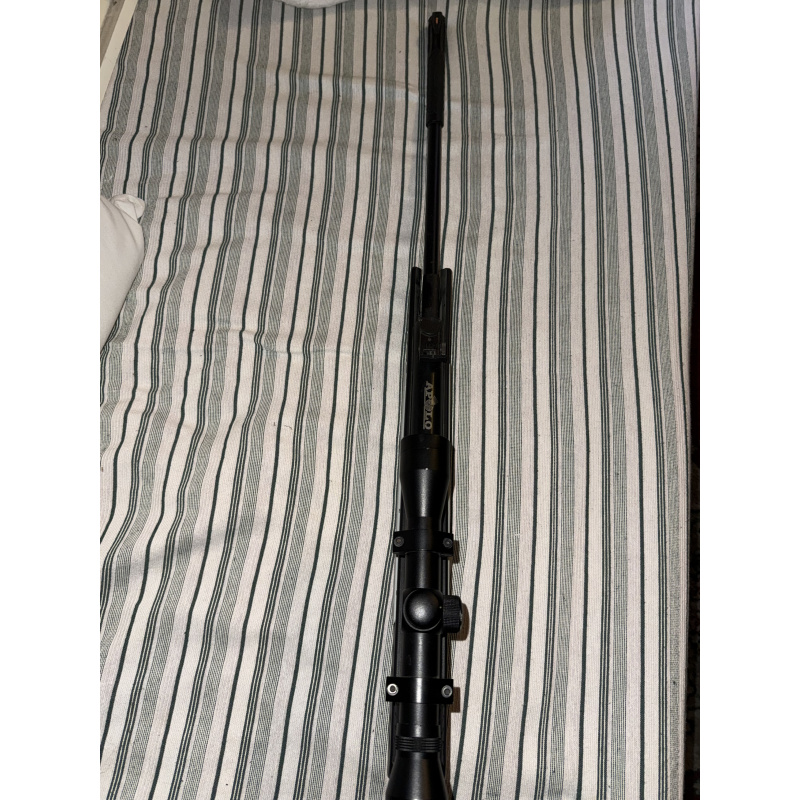 Rifle De Aire Comprimido Apolo Ap1966 5,5mm + Mira Fox 4x32
