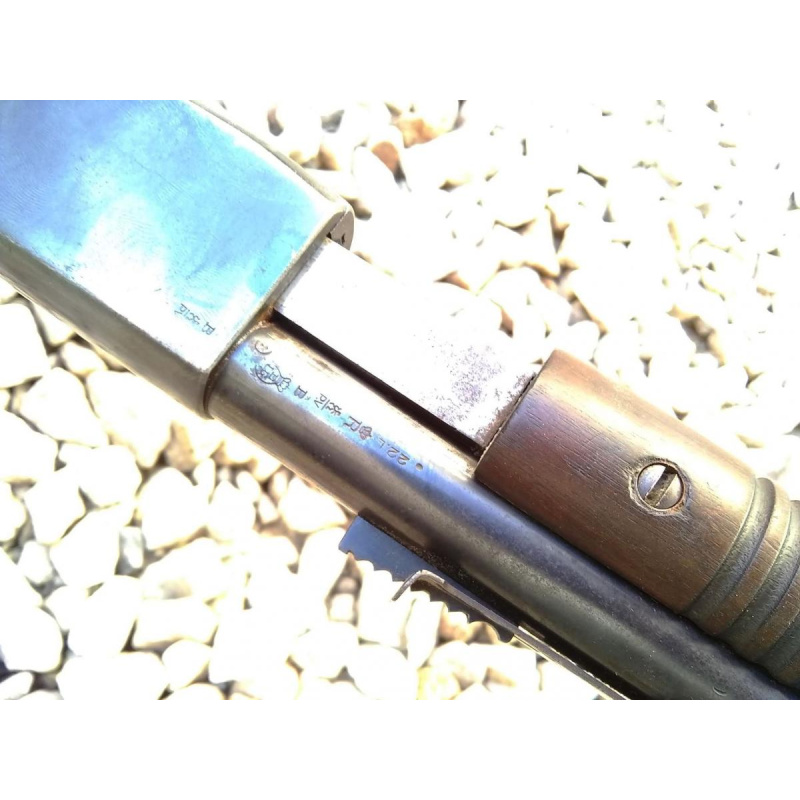 Carabina Fn-trombone .22lr - Con Cuim!!!
