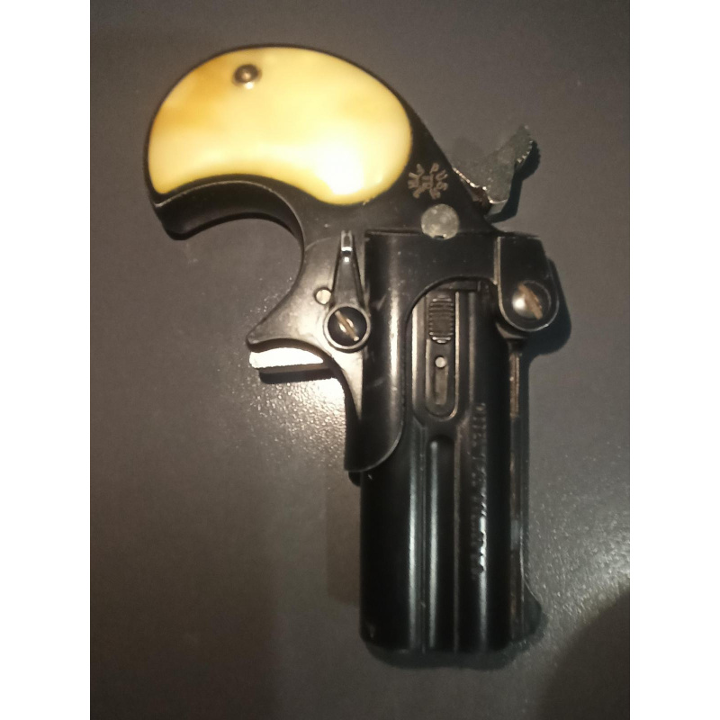 Davis Derringer 22 Lr