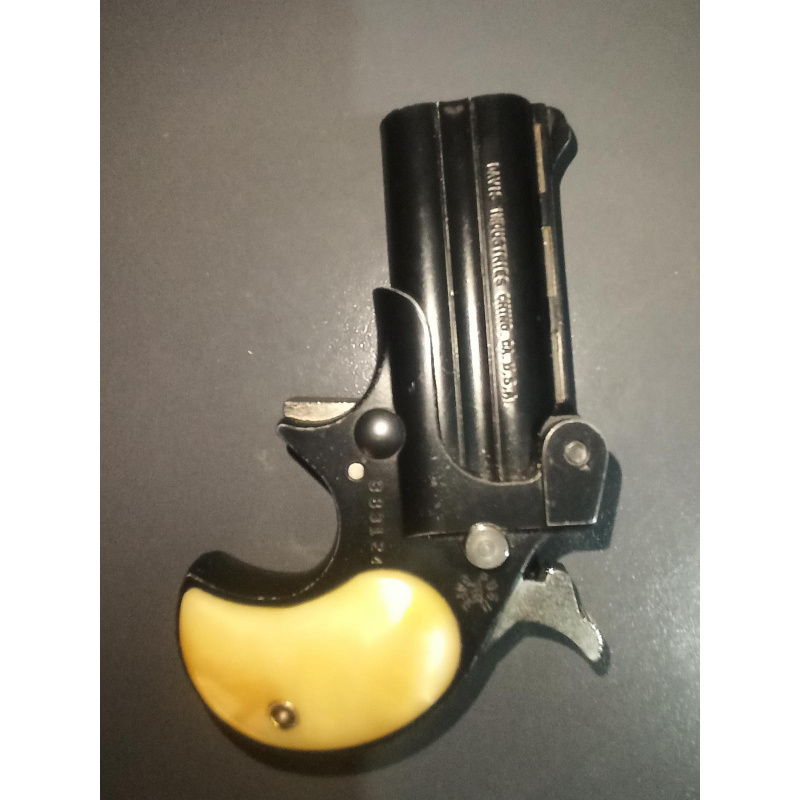 Davis Derringer 22 Lr