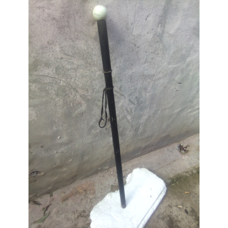 Vendo Estoque Casero Hoja La Movediza