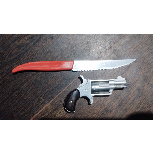 Mini Revolver North American 22lr