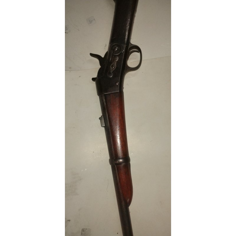 Carabina Roling Block