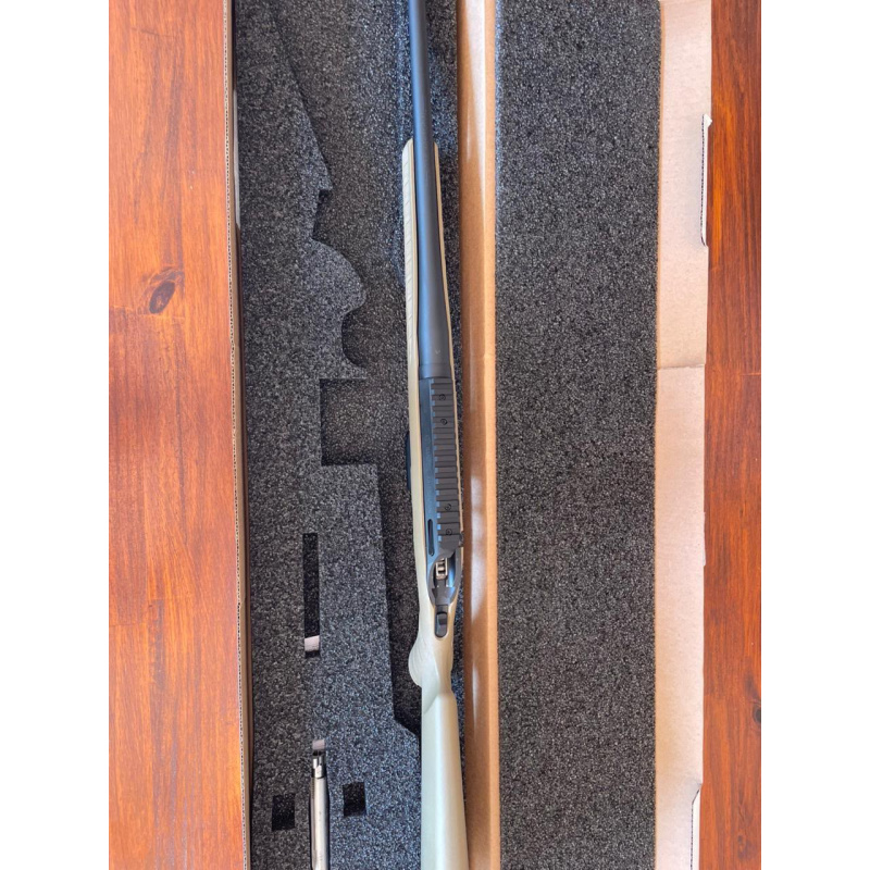 Ruger American Ranch.223