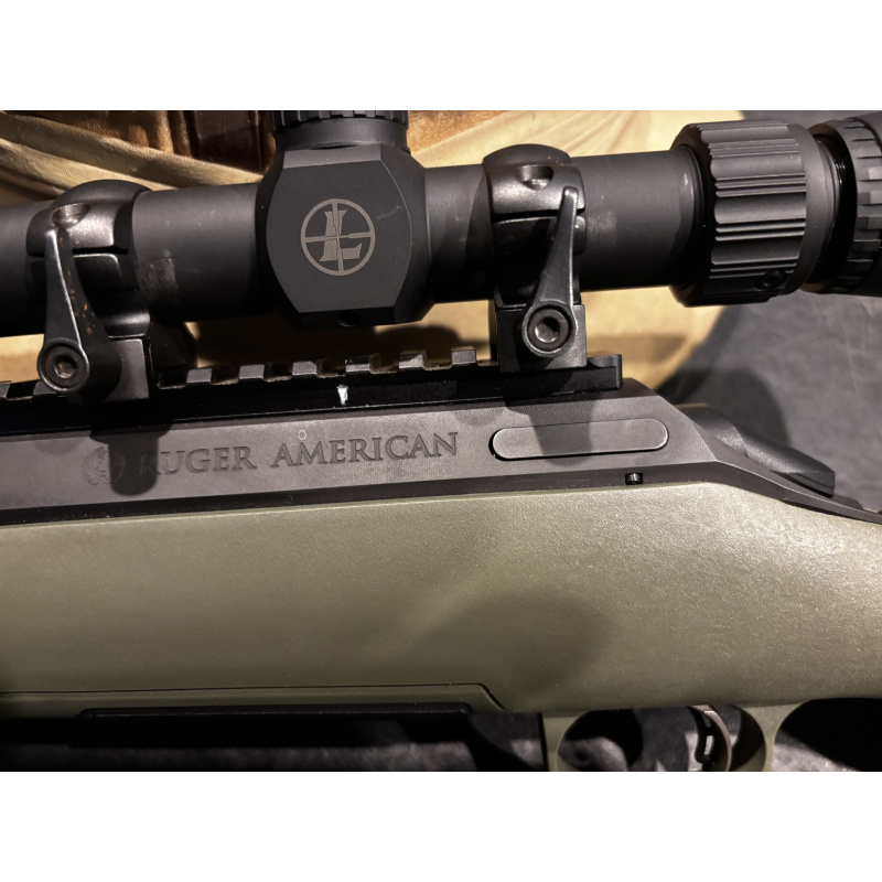 Ruger American 308