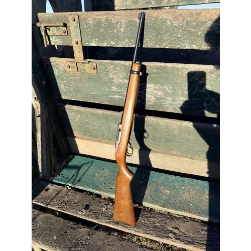 Ruger 10/22