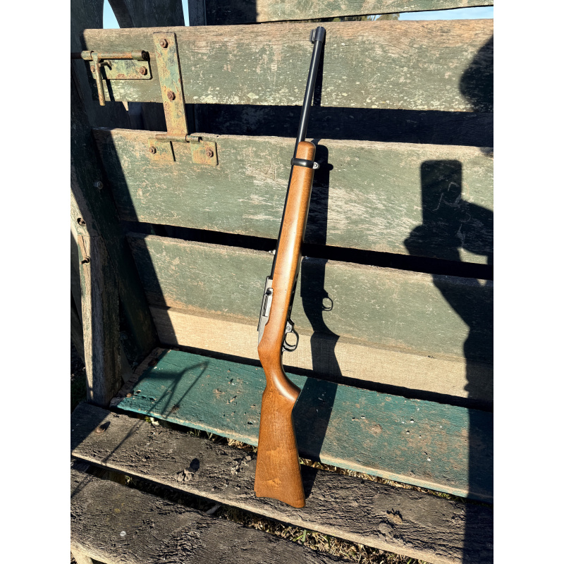 Ruger 10/22