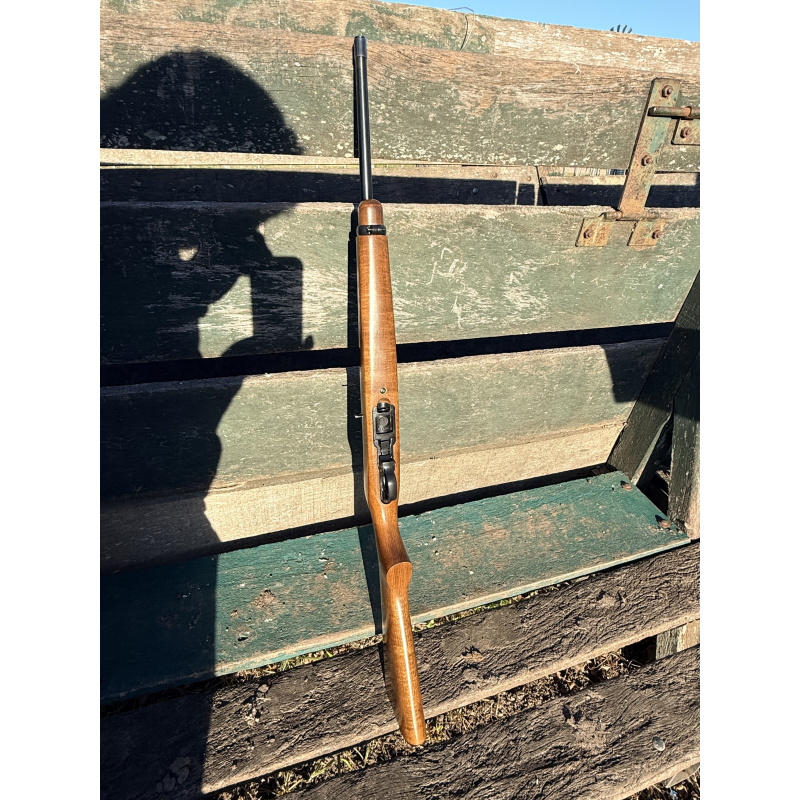 Ruger 10/22