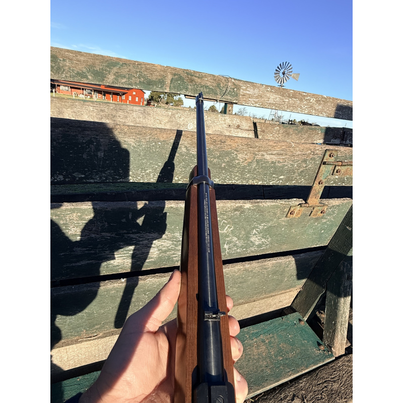 Ruger 10/22