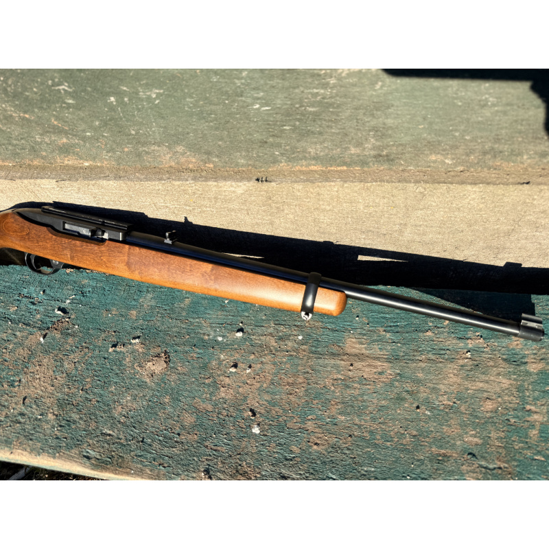 Ruger 10/22