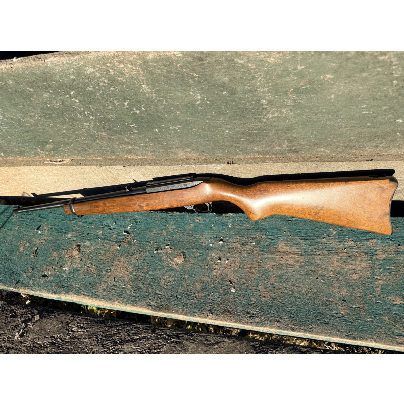 Ruger 10/22