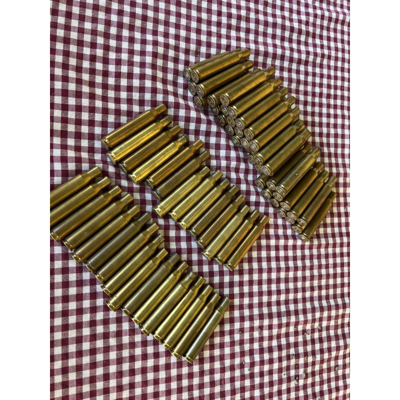 Vainas .270 Winchester