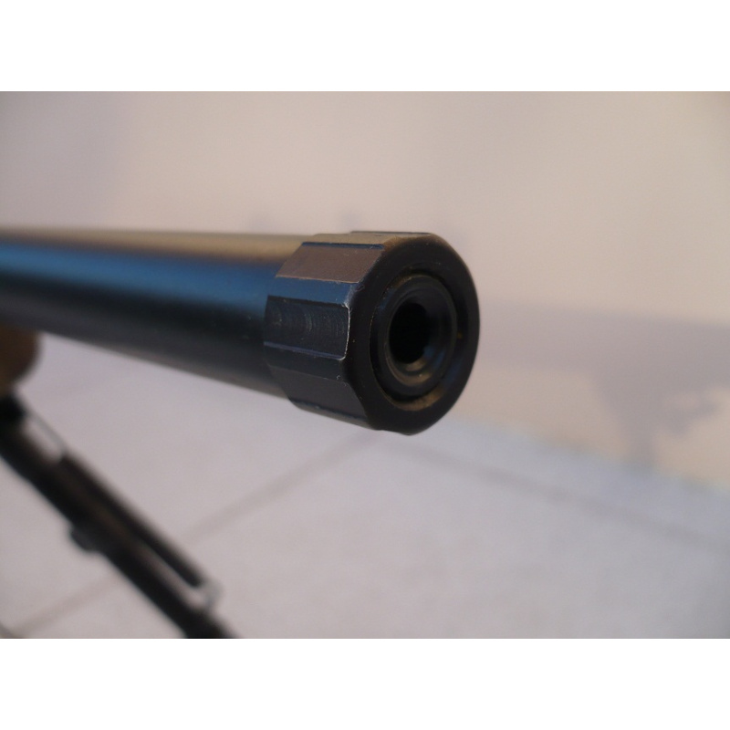 Novedad Carabina Remington 597 .22lr