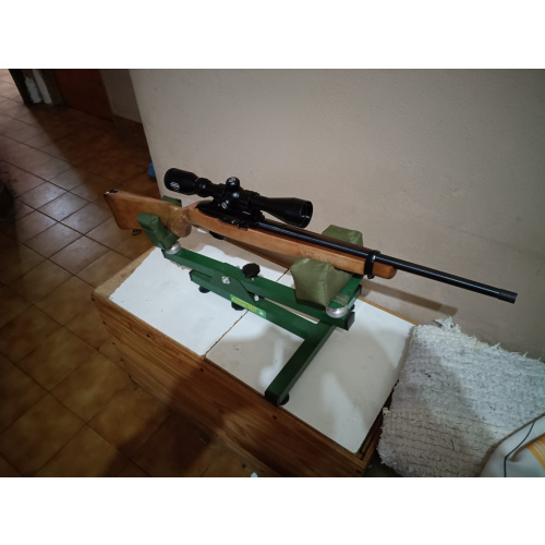 Ruger 10/22 Con Mira.