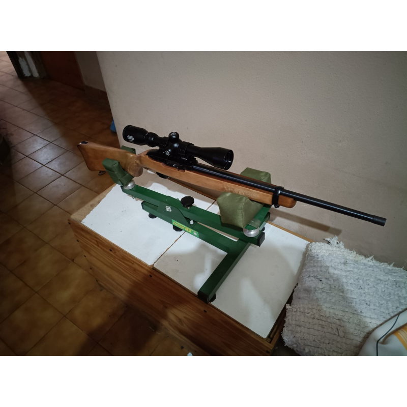 Ruger 10/22 Con Mira.