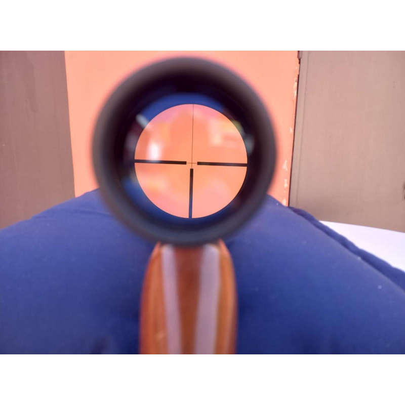 Carabina  R E M I N G T O N   597  Cal .22 Lr Made In U S A