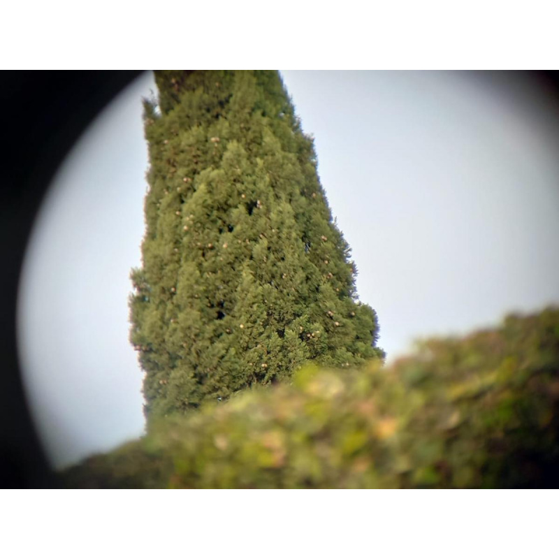 Binocular  T A S C O   7x35 Excelente Estado . M In Thailand