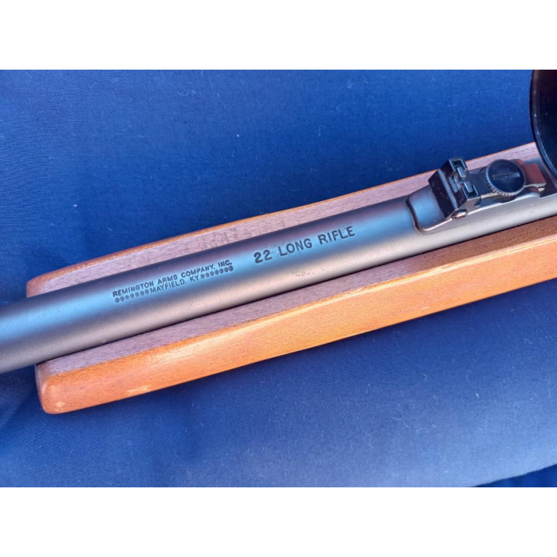 Carabina  R E M I N G T O N   597  Cal .22 Lr Made In U S A